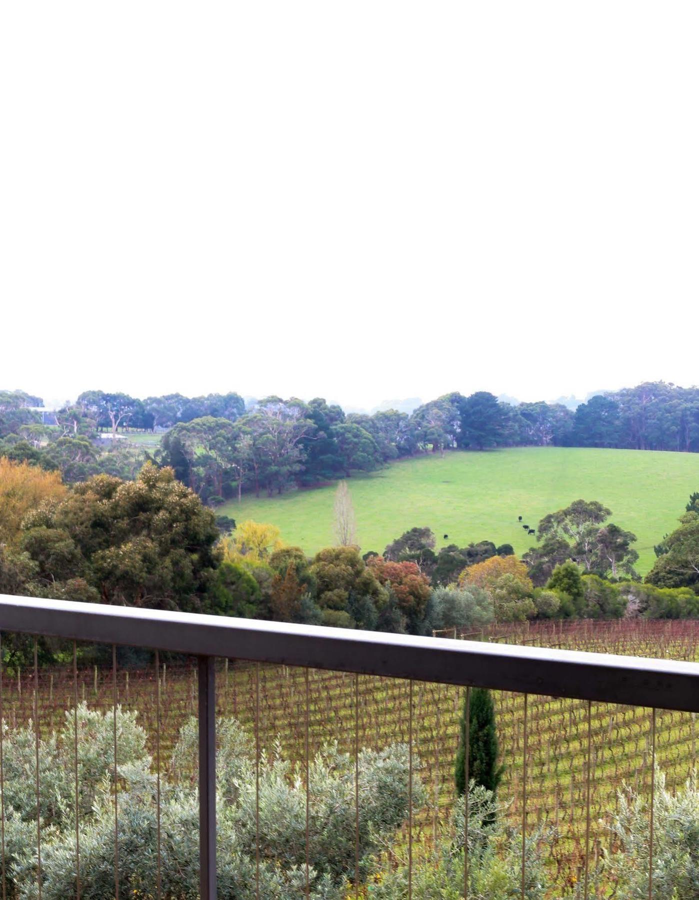Morning Sun Vineyard Hotel Mornington Peninsula Luaran gambar