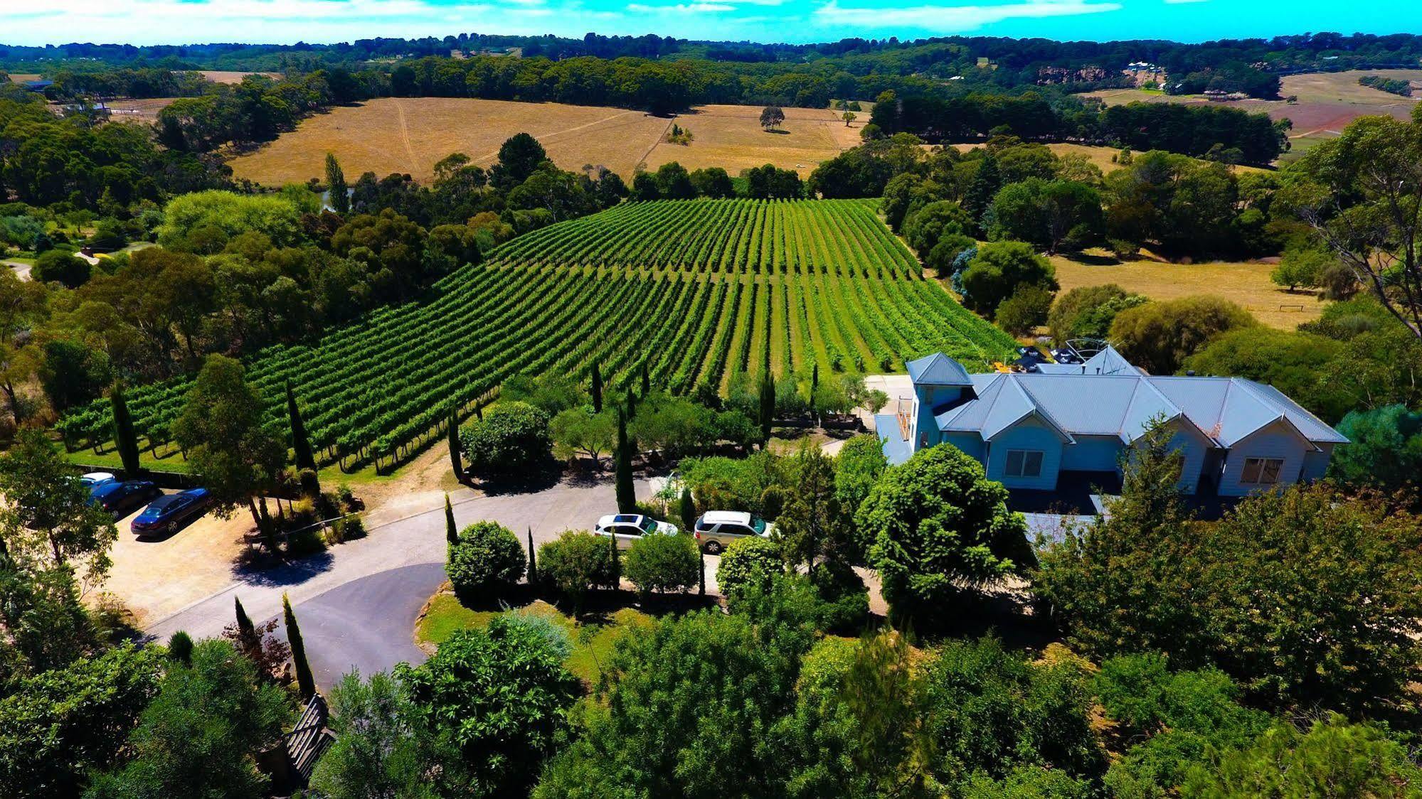 Morning Sun Vineyard Hotel Mornington Peninsula Luaran gambar